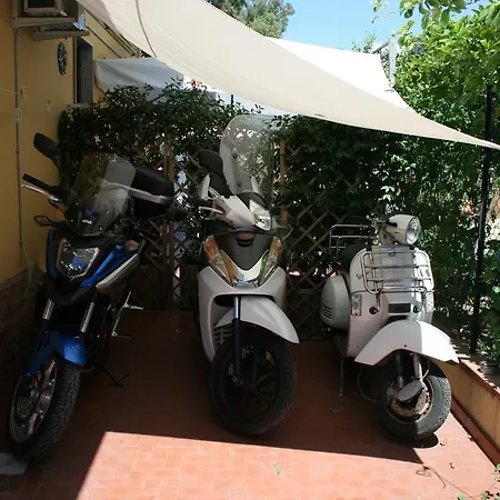 Tifeo