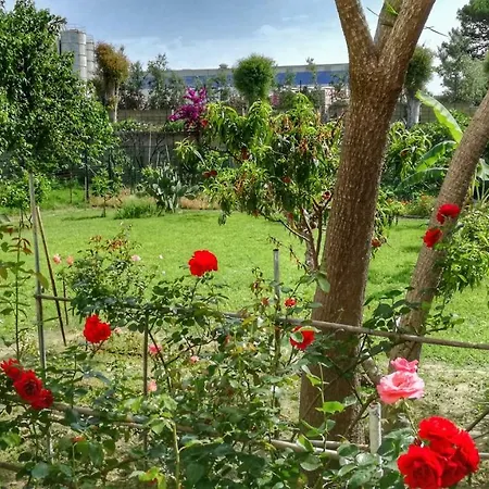 Tifeo Bed & Breakfast