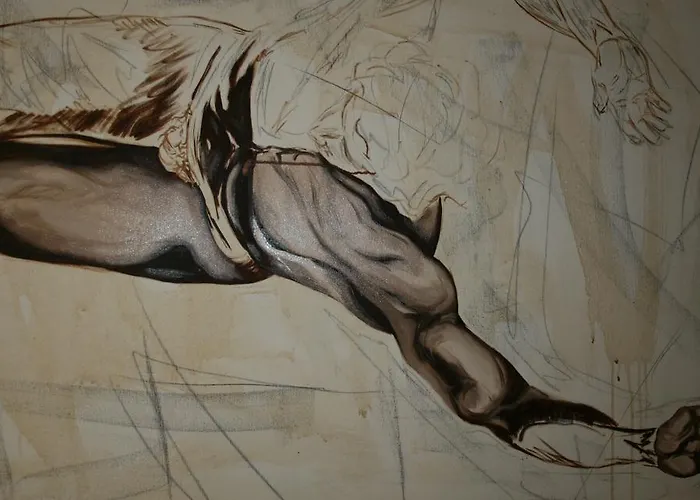 Tifeo